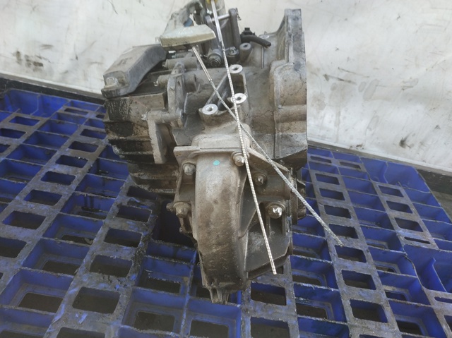 55561599 Opel