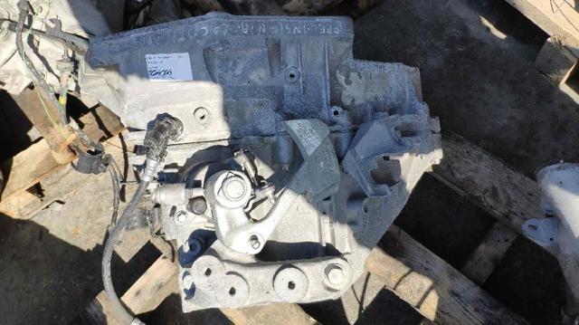 55561696 Opel