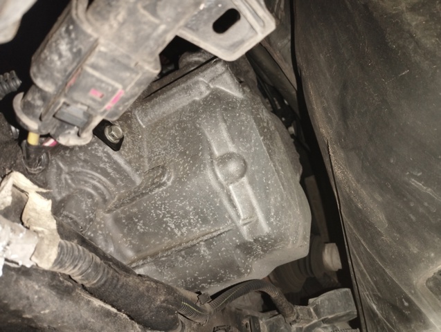 55561696 Opel