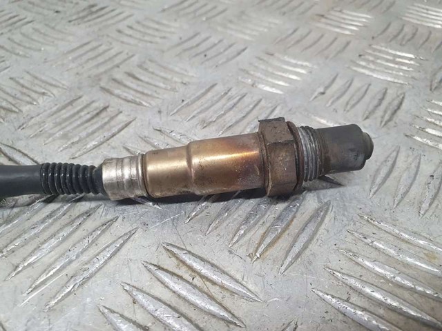 55562205 Sonda lambda, sensor de oxígeno después del catalizador derecho  comprar en Zaragoza