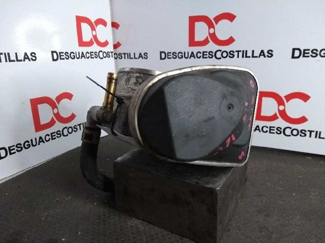 55562380 Cuerpo de mariposa comprar Almería