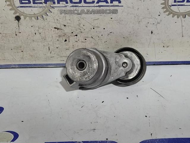 Tensor de correa de alternador 55563512 OPEL