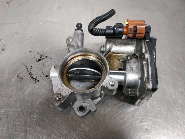 55564164 Cuerpo de mariposa completo  comprar en Zaragoza