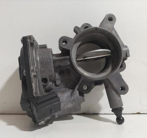 55564164 Cuerpo de mariposa completo  disponible Utrera