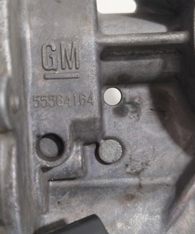 55564164 Cuerpo de mariposa  en stock Sabadell