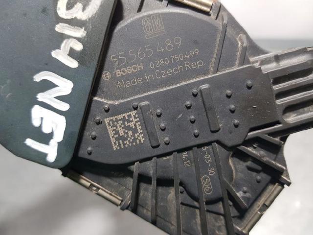 55565489 Cuerpo de mariposa  en stock Sabadell