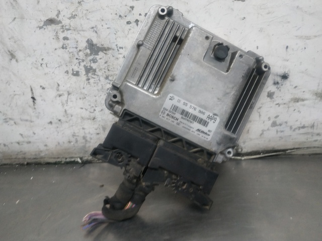 55576906 Opel
