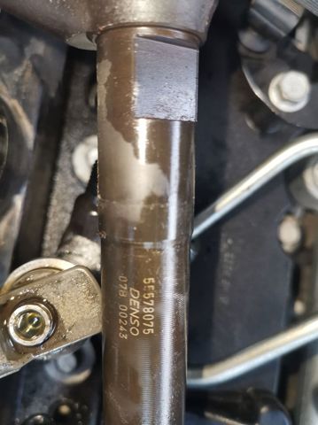 55578075 Opel