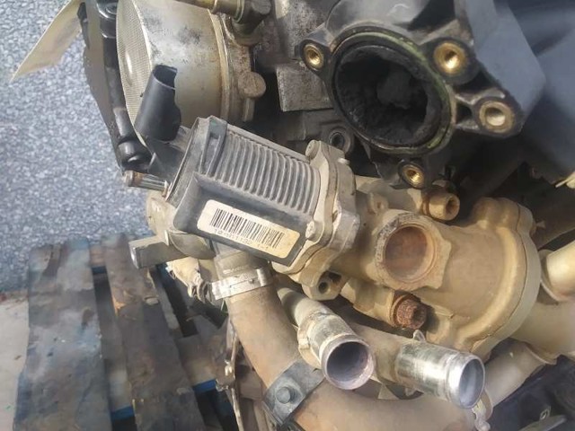 55599946 Opel