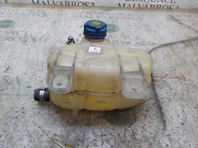 55700508 FIAT Vaso de expansión comprar Alcalá