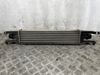 Intercooler 55702004 OPEL