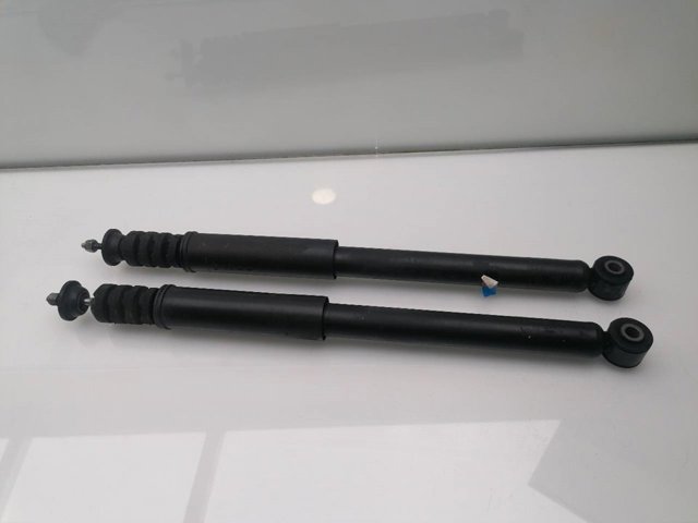 562102517R Renault (RVI)