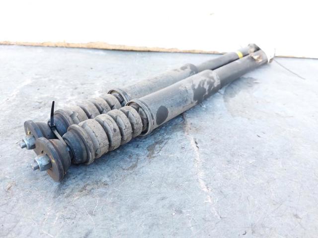 562106313R RENAULT Amortiguador trasero  comprar en Lleida