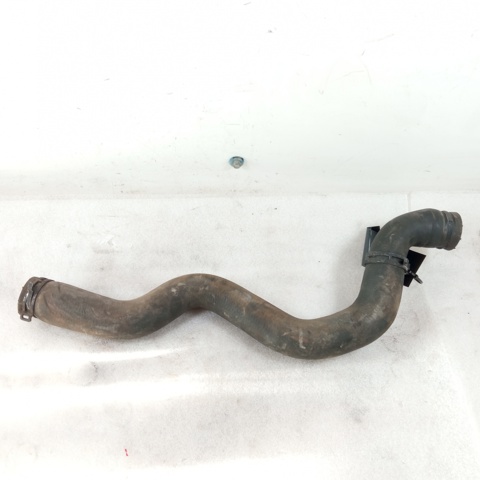 565563897 Opel