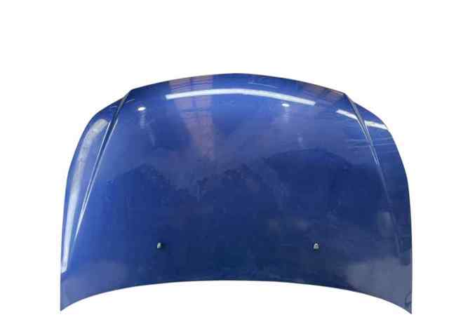 Capó delantero 5730079J00 SUZUKI
