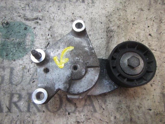 5751H6 PEUGEOT Tensor de correa, correa poli V  comprar en Oviedo