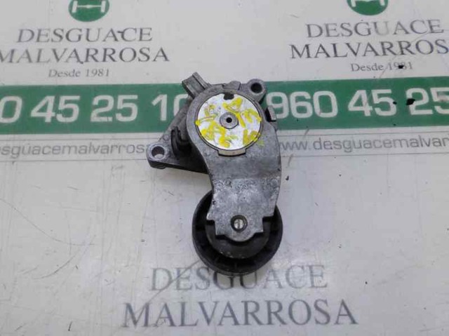 5751H6 Tensor de correa, correa poli V  comprar en Zaragoza