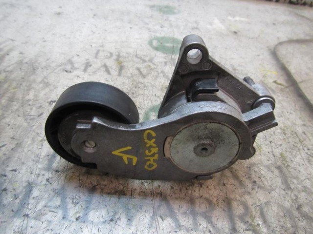 5751H6 PEUGEOT Tensor de correa, correa poli V  comprar en Jaén