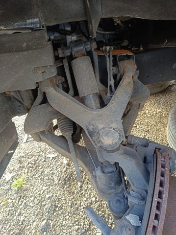 5801564293 Brazo superior izquierdo/derecho de suspensión delantera  disponible Utrera