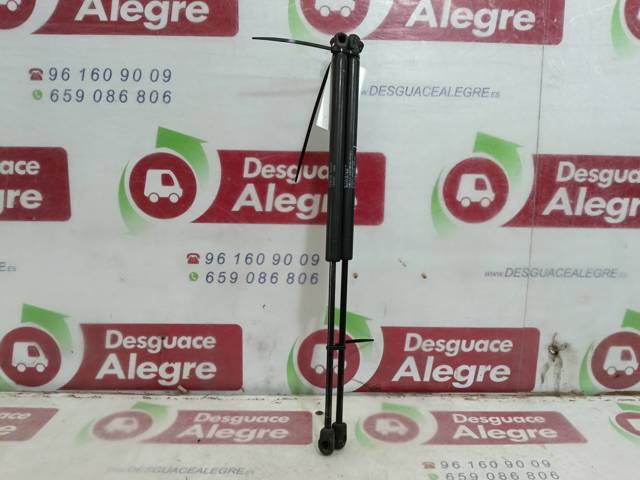 5802A007 Amortiguador de la tapa del maletero  disponible Burgos