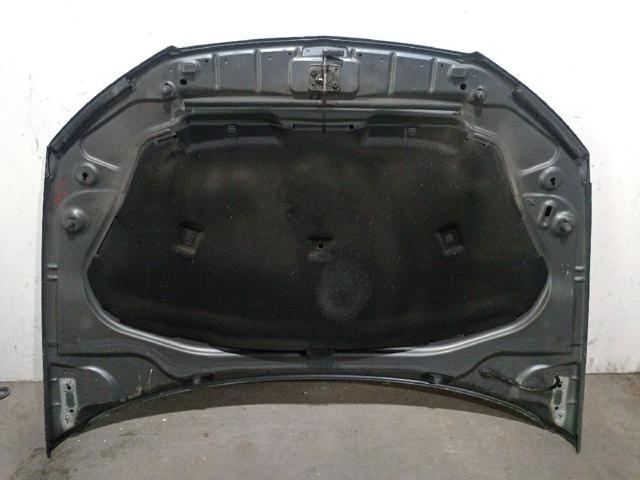 Capó delantero Seat Leon (2012-2020)
