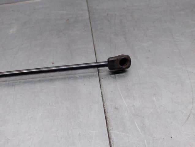 5G0823359A VAG Amortiguador de capó  comprar en Oviedo