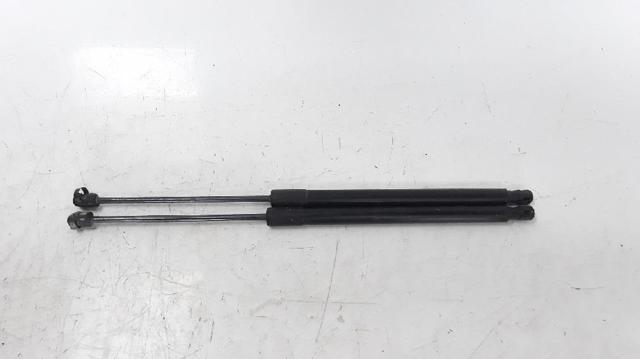 Amortiguador de porton 5G9827550 VAG