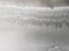 5H0807221H VAG