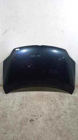 Capó para Volkswagen Golf 5M1, 521