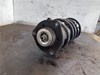 Amortiguador strut delantero 5N0413031AE VAG