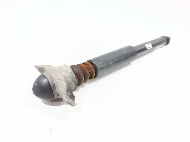 Amortiguador trasero Volkswagen Tiguan 1 5N1, 5N2