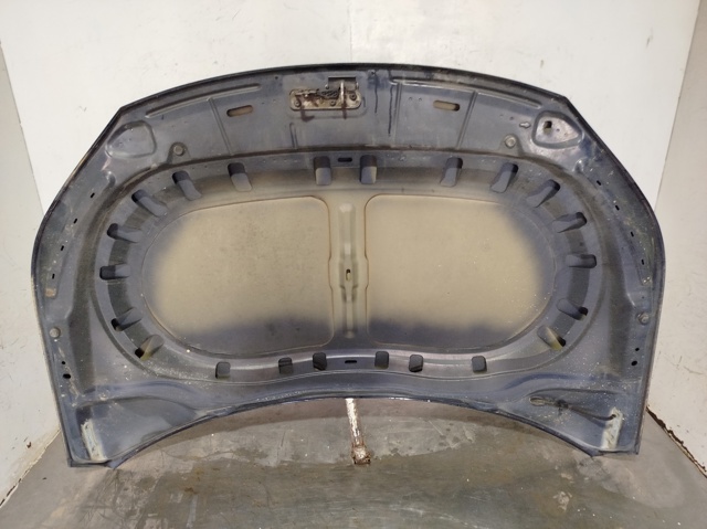 Capó del motor Volkswagen Tiguan 1 5N1, 5N2