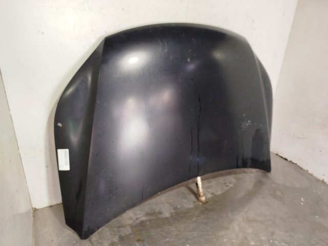 Capó del motor Volkswagen Tiguan 1 5N1, 5N2