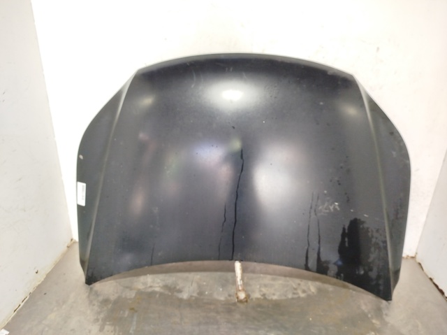 Capó del motor Volkswagen Tiguan 1 5N1, 5N2