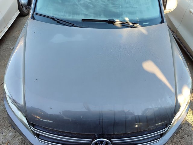 Capó delantero 5N0823031D VAG