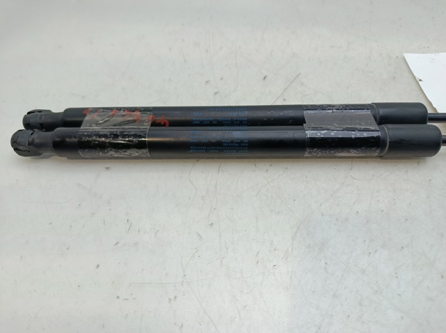 VAG 5N0827550D Amortiguador maletero comprar Pamplona
