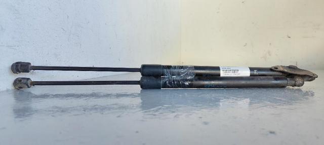 VAG 5N0827550D Amortiguador maletero comprar Pamplona