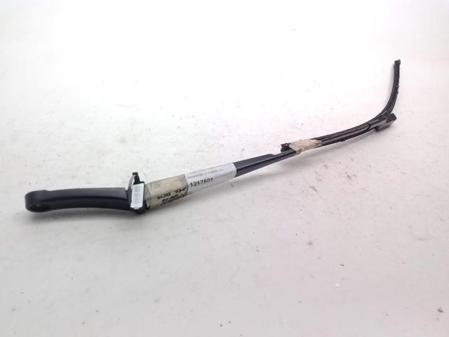 Brazo del limpiaparabrisas, lavado de parabrisas, luna delantera Volkswagen Tiguan 1 5N1, 5N2