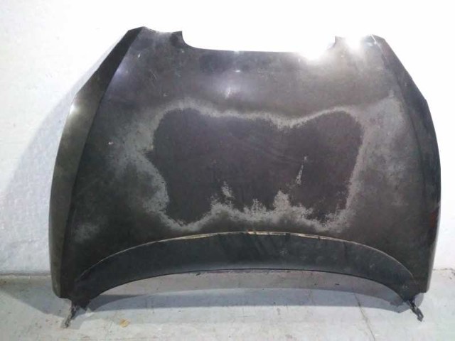Capó del motor Seat Altea desde 198,92 €