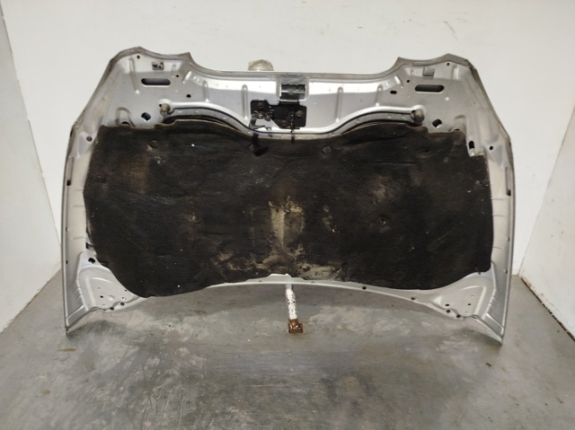 5P0823031C VAG Capó  comprar en Oviedo