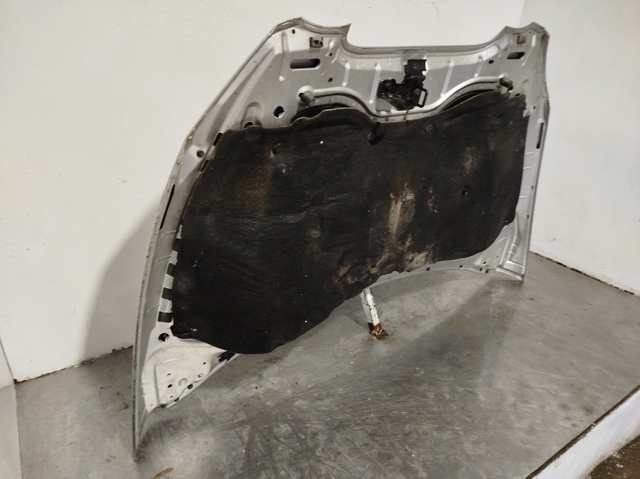5P0823031C VAG Capó  en stock Córdoba