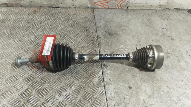 VAG 5Q0407271DD Semieje delantero izquierdo  comprar en Albacete
