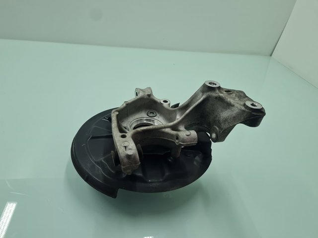 Muñón de eje, cuerpo del eje, trasero izquierdo  5QF505435F VAG