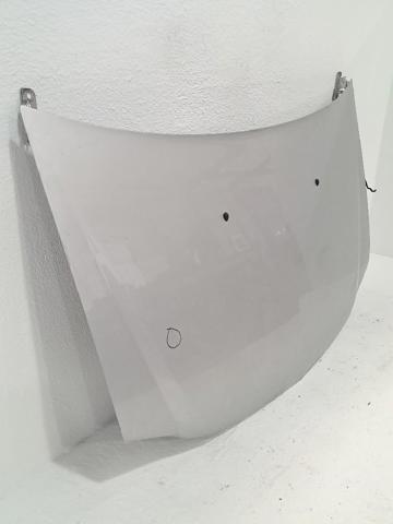 6001546685 RENAULT Capó  en stock Gandía