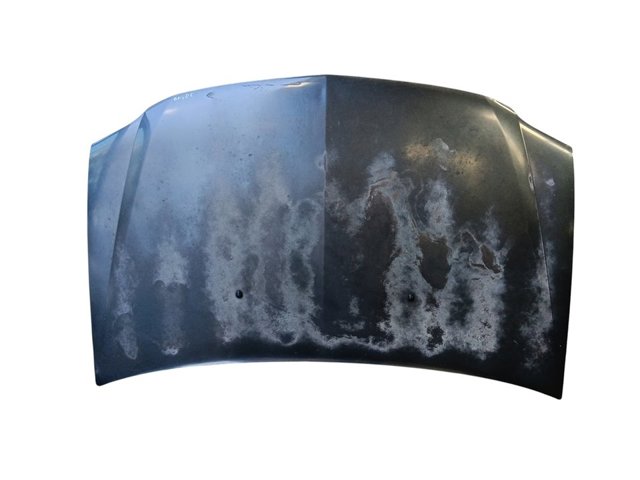 6001546685 Renault (RVI)