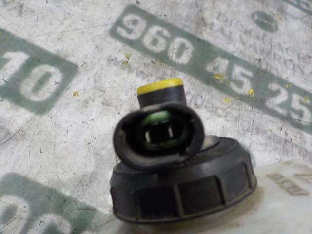 6001551313 RENAULT Cilindro principal de freno  disponible Ourense