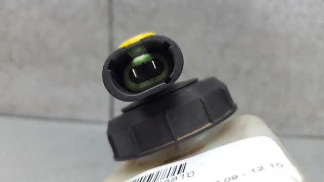 6001551313 Cilindro principal de freno  comprar en Zaragoza