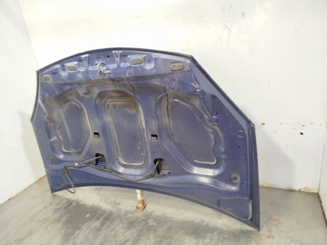 6001551793 RENAULT Capó  comprar en Jaén