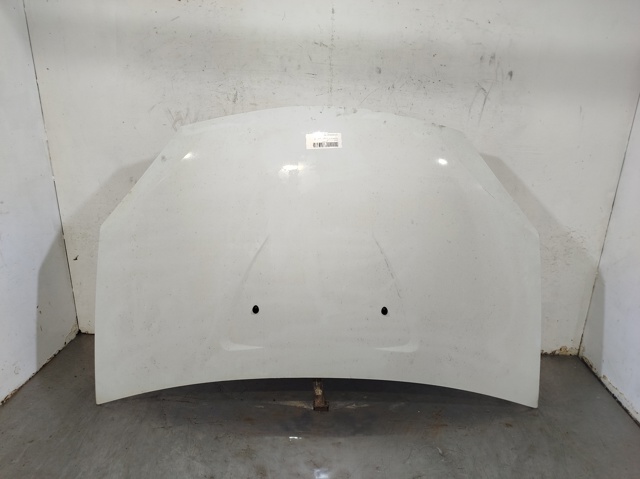 Capó del motor Dacia Sandero I desde 225,06 €