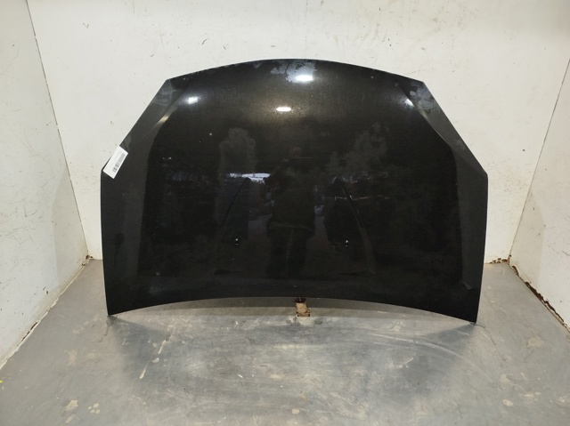 RENAULT 6001551793 Capó  en stock Valencia